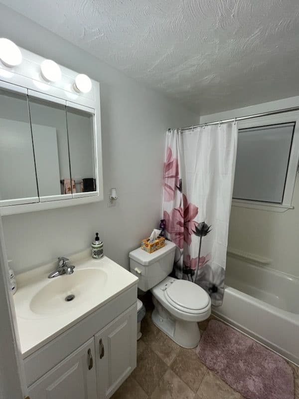 Bathroom Cleaning Showcase image